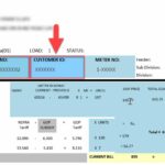 LESCO-Online-Bill-Check-by-Reference-Number-CNIC-Updated-Guide
