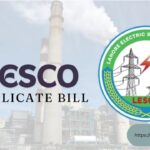 LESCO Duplicate Bill Check