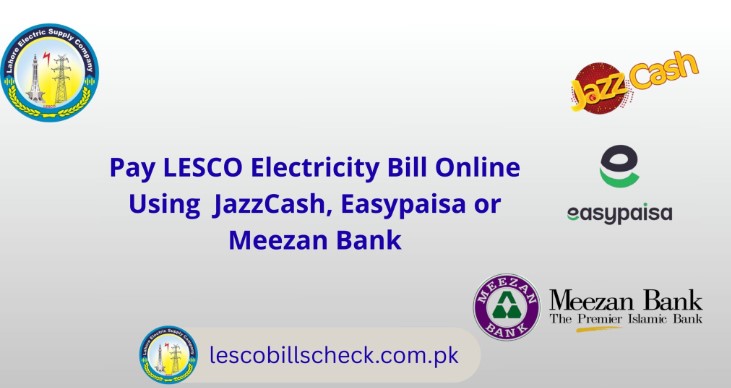 LESCO Duplicate Bill Check 